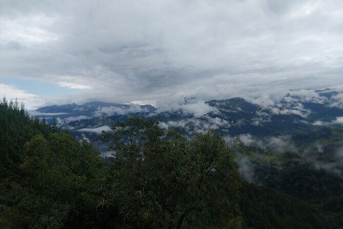 Salento, Cradle of wax palm, Carbonera Hike Tour - The Bottom Line: Is This Tour for You?