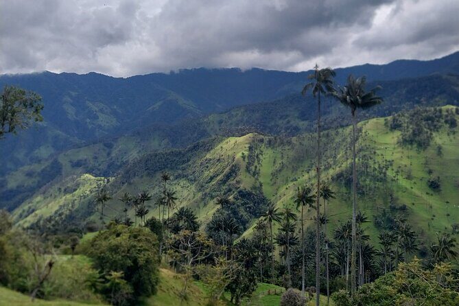 Salento, Cradle of wax palm, Carbonera Hike Tour - FAQs