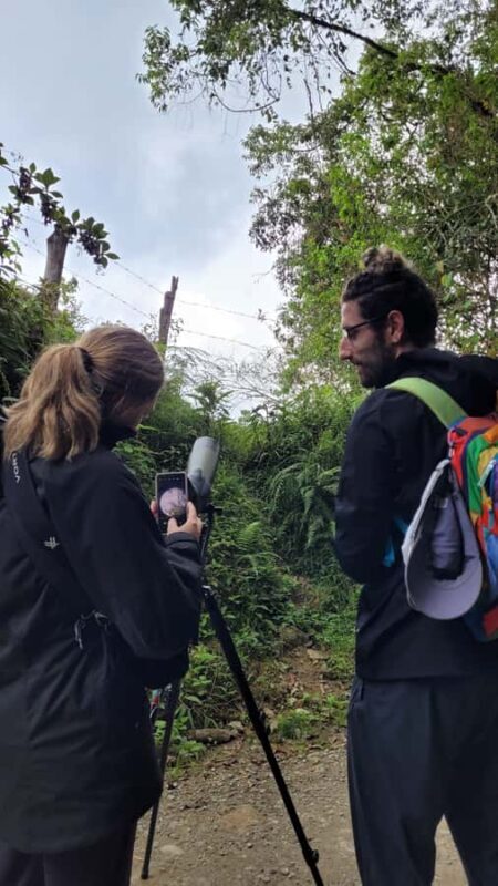 Salento: hike to learn about Birds - Salento: Hike to Learn About Birds — An Authentic Nature Experience in Colombia