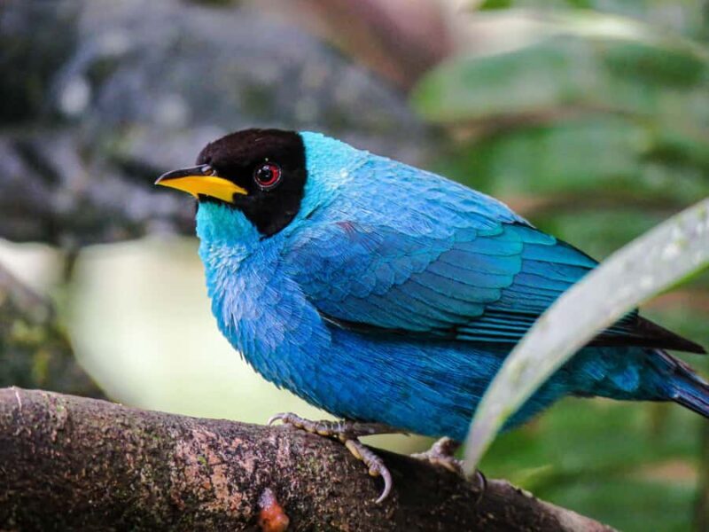 Salento: hike to learn about Birds - Authentic Insights from Past Travelers