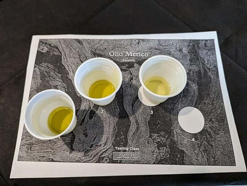 Salento: Olive Oil Mill Walking Tour with Tastings - Who Should Consider This Tour?