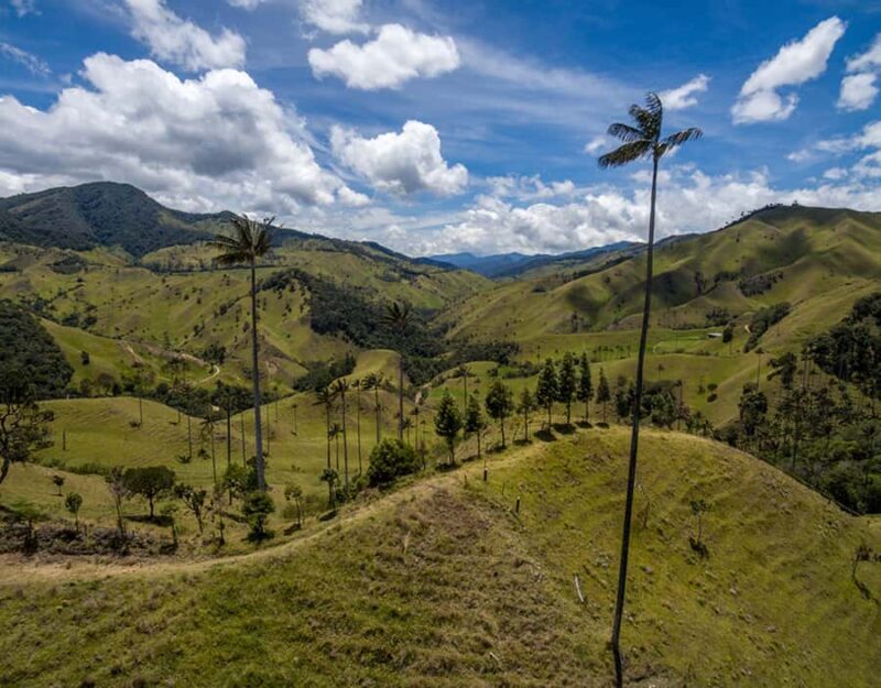 Salento/Pereira: Cocora Valley & Salento Hiking Private Tour - An Authentic Colombian Adventure: Cocora Valley & Salento Hiking Tour