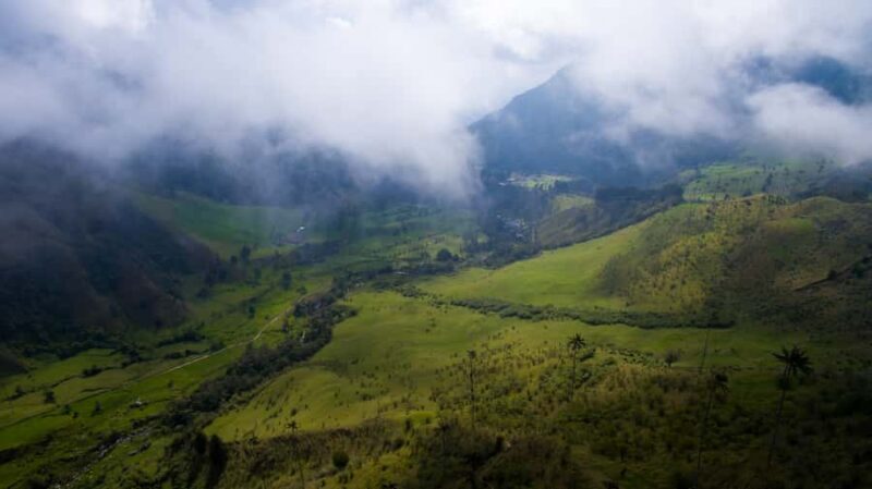 Salento/Pereira: Cocora Valley & Salento Hiking Private Tour - Key Points