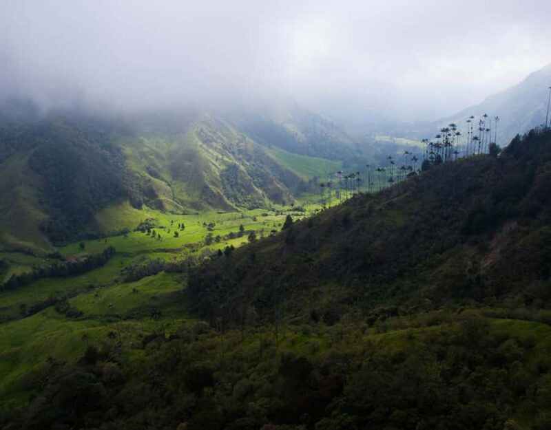 Salento/Pereira: Cocora Valley & Salento Hiking Private Tour - FAQ
