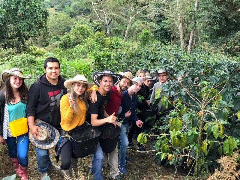 Salento: Private Cocora Valley, Salento & Coffee Farm Tour - Who Will Love This Tour?