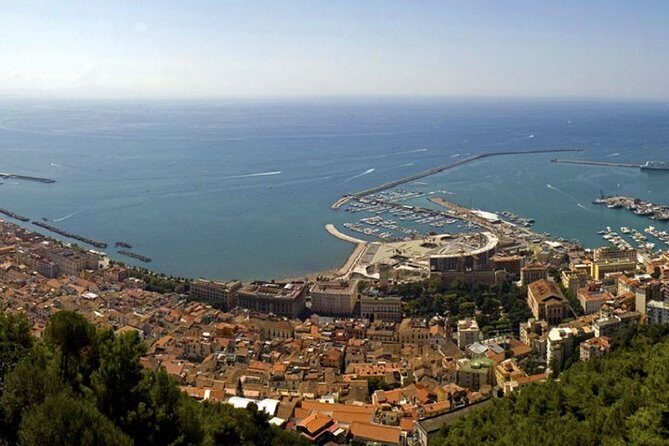 Salerno Shore Excursion: Private Pompeii Tour - Discovering Pompeii with Your Private Guide