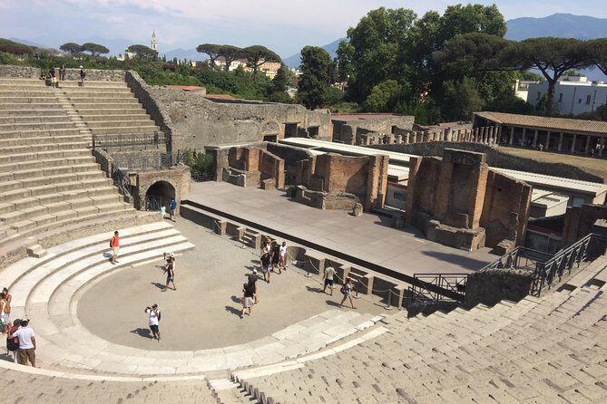 Salerno Shore Excursion: Private Pompeii Tour - Who Should Consider This Tour