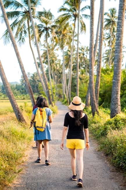 Saligao: Village Saunter through Saligao - Final Thoughts