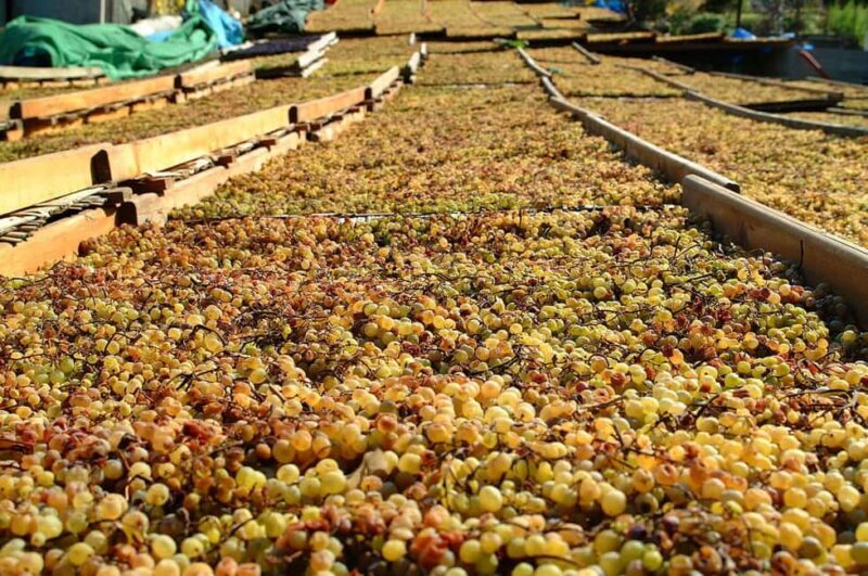Salina: Wine Tasting & Brunch on Estate in Malfa - Discovering the Heart of Salina: Wine Tasting & Brunch on an Authentic Estate in Malfa