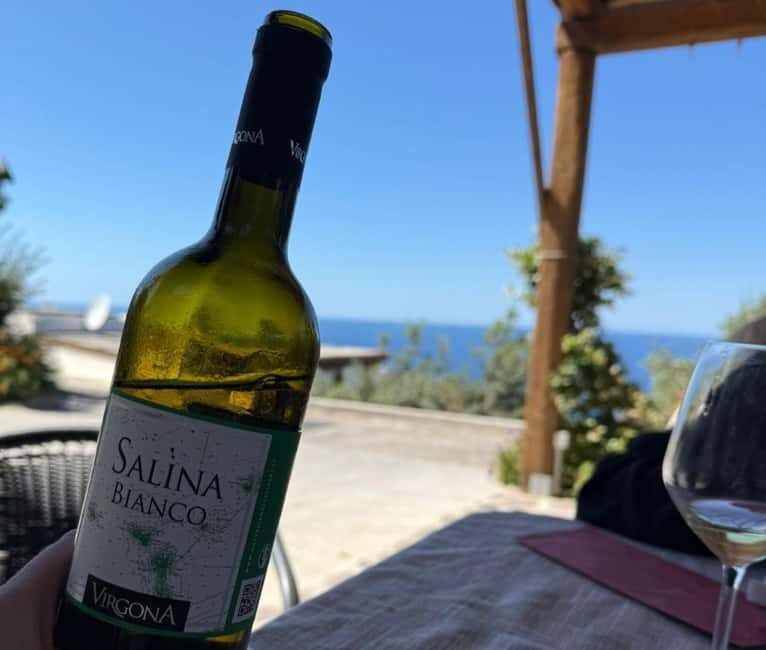 Salina: Wine Tasting & Brunch on Estate in Malfa - Who Will Love This Tour?