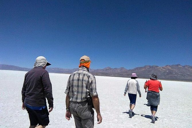 Salinas Salt Lagoon Private tour - Day Trip from Arequipa - Key Points