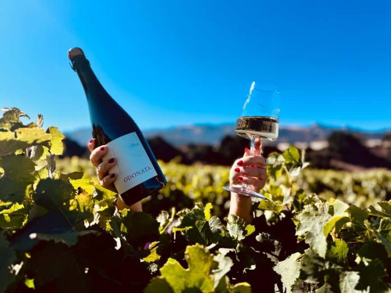Salinas Valley, CA: Wine tasting experience - Who Will Love This Experience?