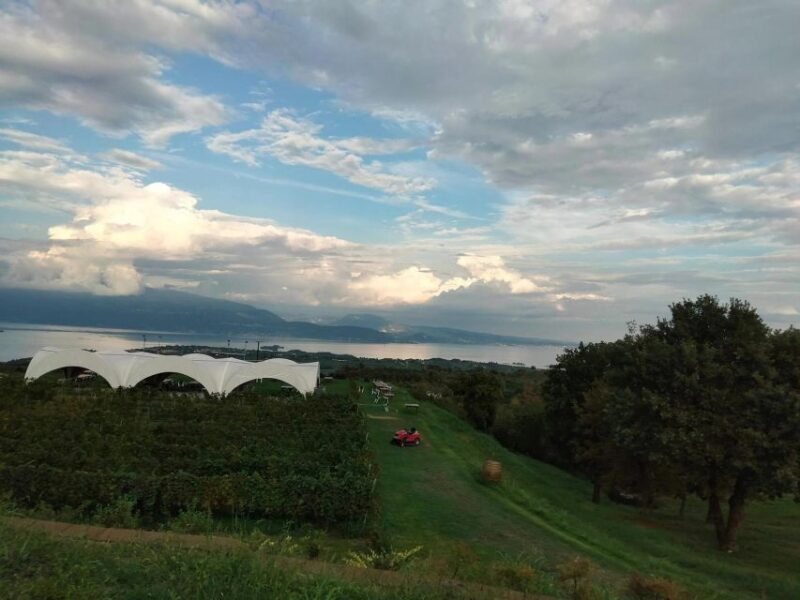 Salò: Tasting of 4 Valtenesi wines with local food - Final Thoughts: Is It Worth It?