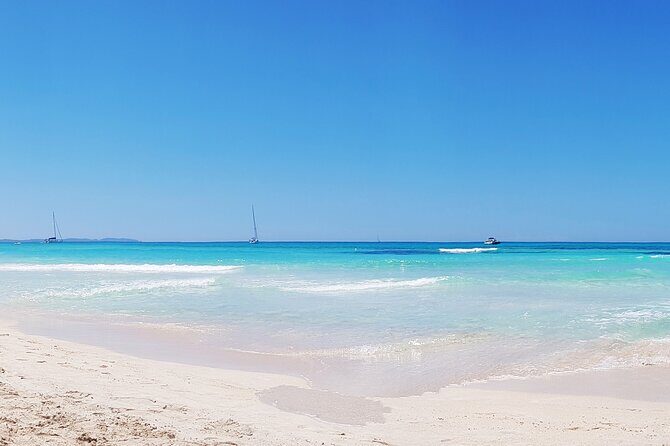 Salobrar Natural Park - Es Trenc Beach - Salobrar Natural Park - Es Trenc Beach: A Balanced Look at Mallorca’s Natural Wonder