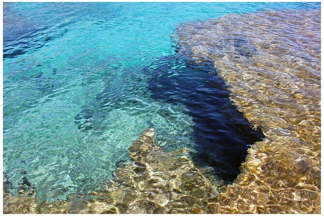Salobrar Natural Park - Es Trenc Beach - Key Points