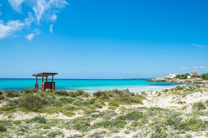 Salobrar Natural Park - Es Trenc Beach - FAQ