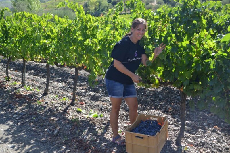 Salou: Bike Tour with Wine Tasting - FAQ