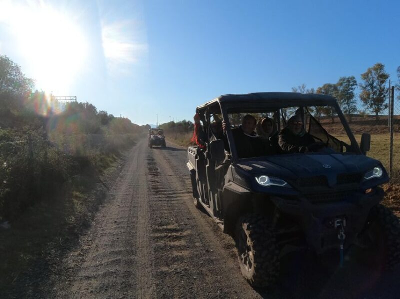 Salou: Buggy Safari with Hotel Transfer - Key Points