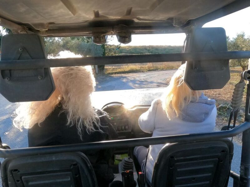Salou: Buggy Safari with Hotel Transfer - A Detailed Look at the Buggy Safari Experience