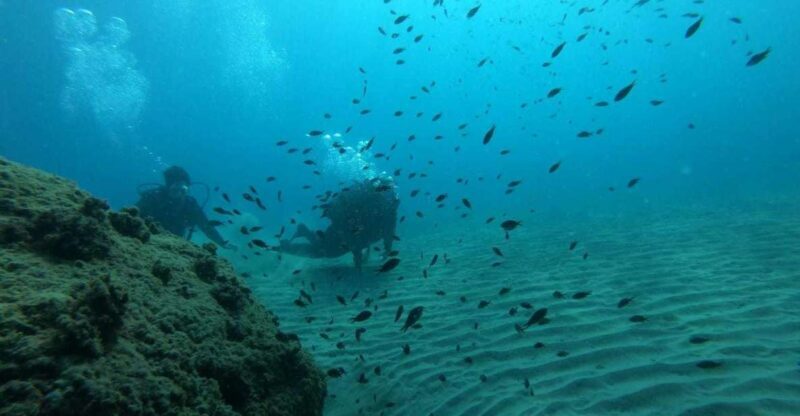 Salou: Scuba Diving for Beginners - A Practical Review of Salou’s Beginner Scuba Tour