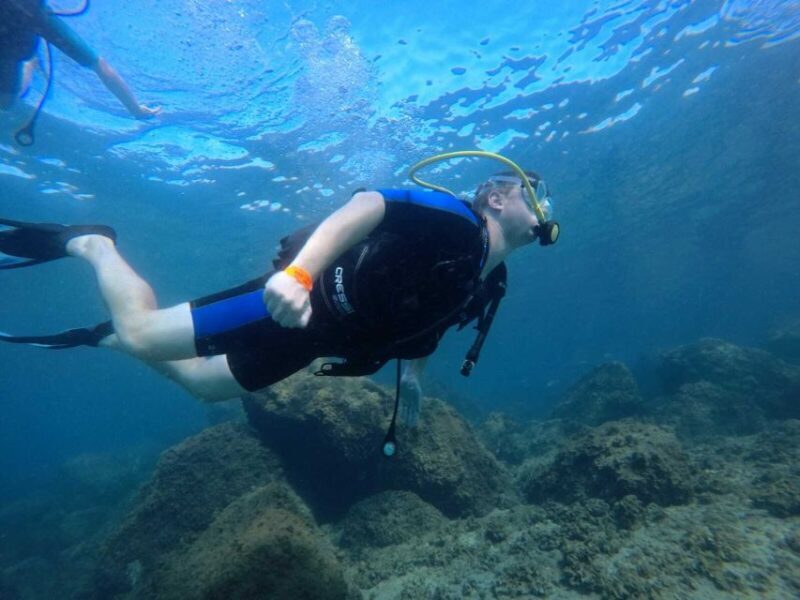 Salou: Scuba Diving for Beginners - Who Should Consider This Tour?