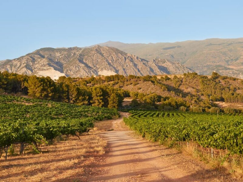 Salou: Siurana Castle and Cornudella Winery Tour - Who Would Love This Experience?