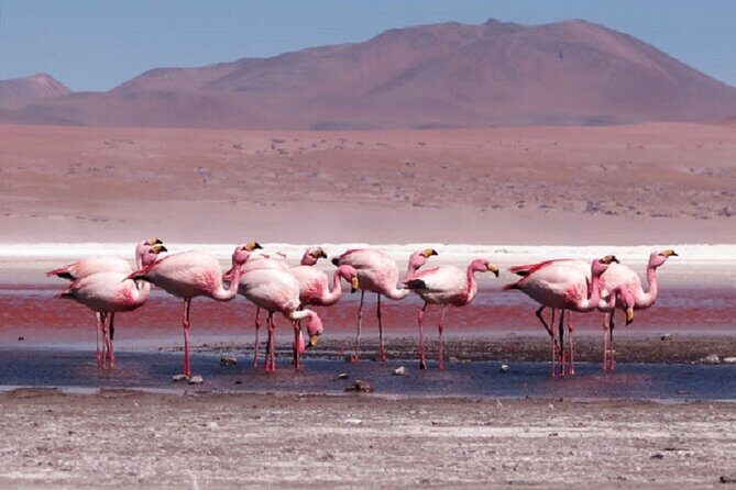 Salt Flats of Uyuni in 3D-2N - Key Points