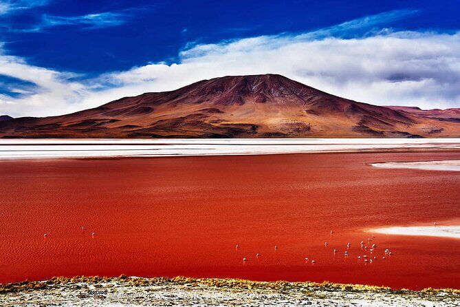 Salt Flats of Uyuni in 3D-2N - Is This Tour Worth It?
