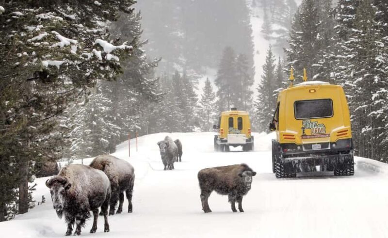 Salt Lake City: 4-Day Yellowstone & Grand Teton Winter Tour - Salt Lake City: 4-Day Yellowstone & Grand Teton Winter Tour
