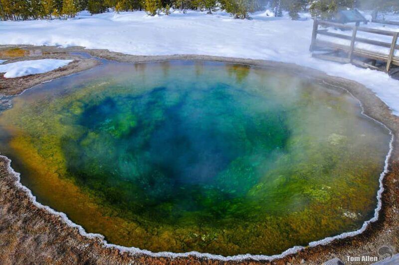Salt Lake City: 4-Day Yellowstone & Grand Teton Winter Tour - Why This Tour Works