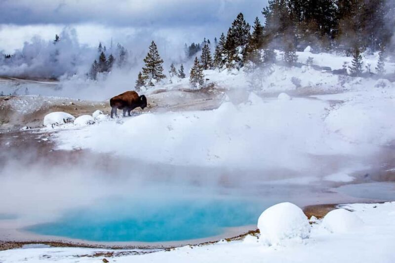 Salt Lake City: 4-Day Yellowstone & Grand Teton Winter Tour - Frequently Asked Questions