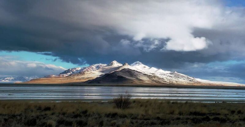 Salt Lake City: Great Salt Lake Antelope Island Guided Tour - Salt Lake City: Great Salt Lake Antelope Island Guided Tour