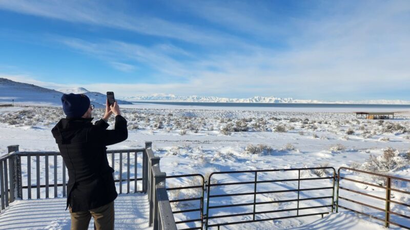 Salt Lake City: Great Salt Lake Antelope Island Guided Tour - Who Will Enjoy This Tour?