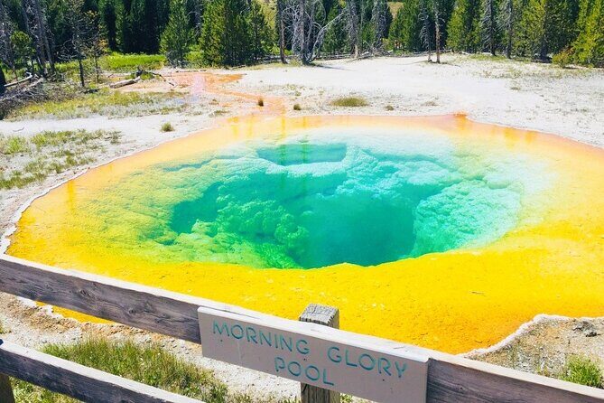 Salt Lake City to Yellowstone and Grand Teton 3 Day Tour - Who Will Love This Tour?