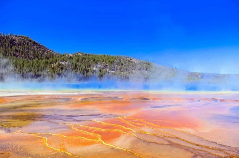 Salt Lake City: Yellowstone & Grand Teton 5-Day Tour - The Sum Up