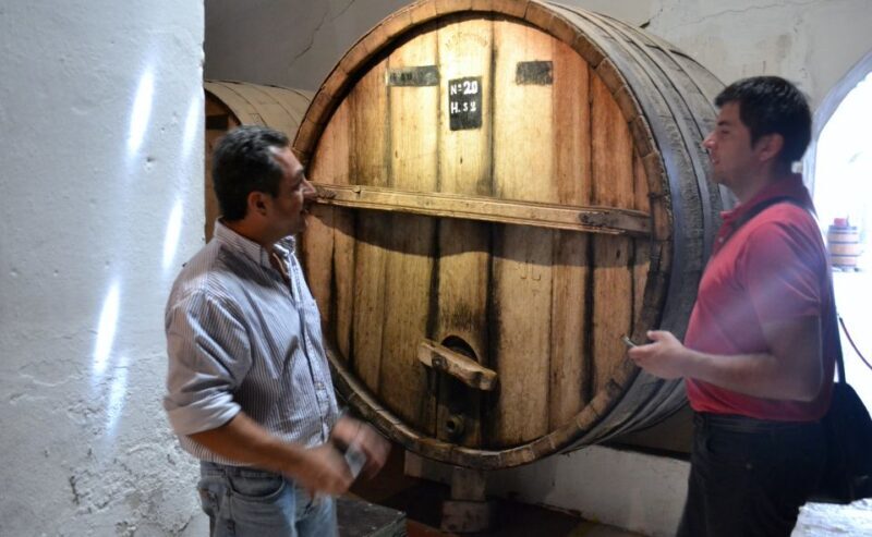 Salta: 2-Day Tour to Cafayate - Who Is This Tour Best For?