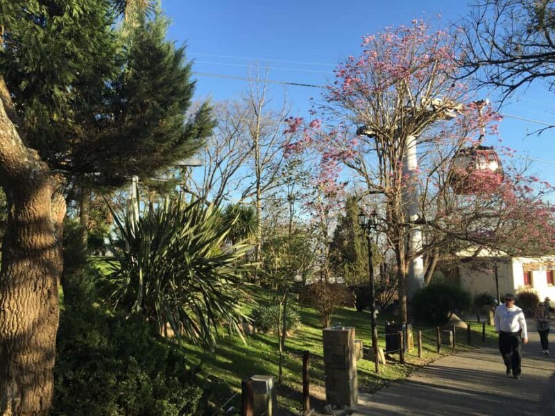 Salta: 4-Hour Guided Highlights City Tour - A Close Look at the Salta Highlights Tour