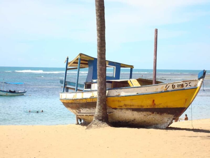 Salvador: Praia Do Forte and Guarajuba Beach Day Trip - Key Points