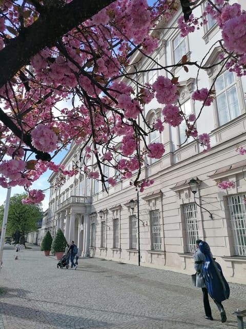 Salzburg: Classical Music Concert at the Mirabell - Why You Should Consider This Concert