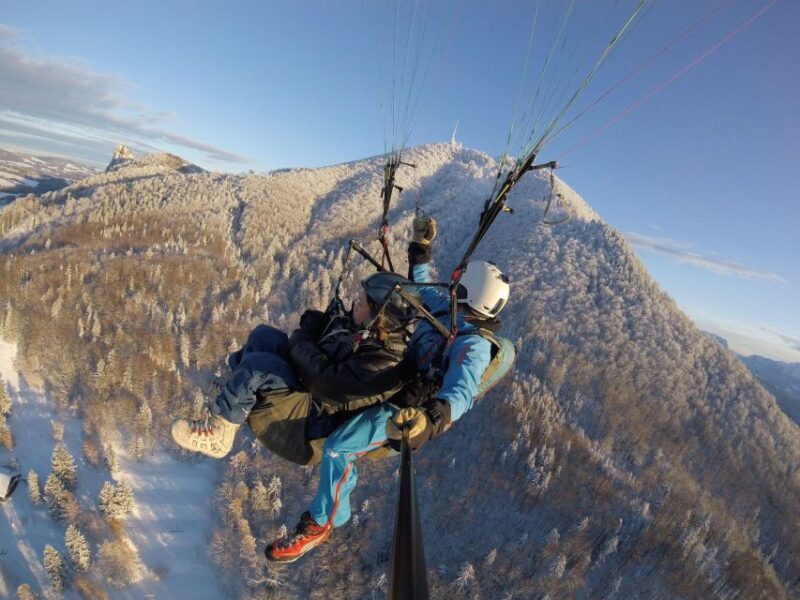 Salzburg like an eagle: tandem paragliding from Gaisberg - Discovering the Experience: What to Expect