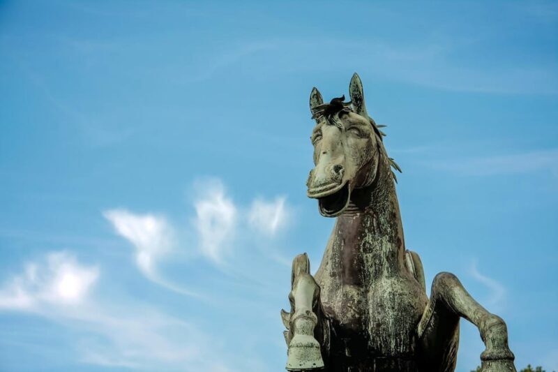 Salzburg: The Sound of Music Movie & City Tour with a Local - Who Should Consider This Tour?