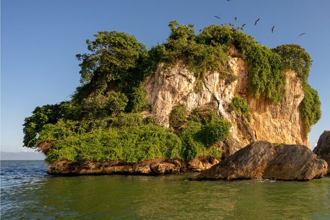 Samaná Bacardi Island and Los Haitises from Punta Cana with Lunch - An Authentic Day in Samaná: Bacardi Island and Los Haitises from Punta Cana