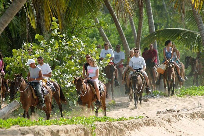 Samana + Cayo Levantado + Horseback Riding from Punta Cana with Lunch - The Sum Up