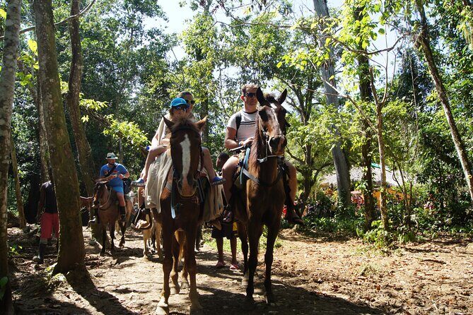 Samana City & El Limon Waterfall Small Group Full Day Shared Tour - Why This Tour Works for Travelers
