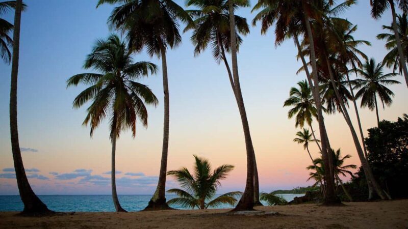 Samana Day Tour: Cayo Levantado & Rincon Bay Paradise - Who is This Tour Best For?