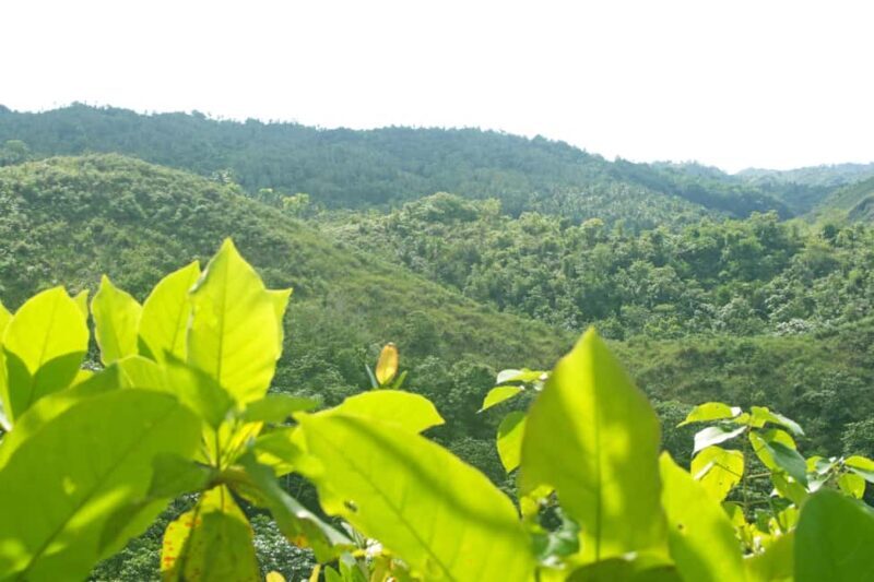 Samaná: El Limón Waterfall Horseback Riding Tour - The Sum Up: The Perfect Mix of Adventure and Nature