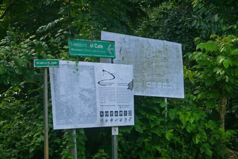 Samaná: El Limón Waterfall Horseback Riding Tour - Authentic Experiences and Highlights