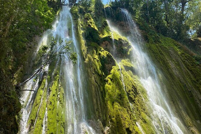 Samana from Punta Cana - Full Day - Exploring the Samana from Punta Cana Tour in Detail