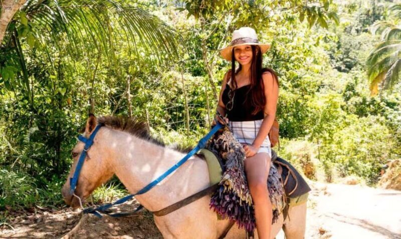 Samaná: Full-Day Adventure El Limón Waterfall Bacardi Island - Final Thoughts