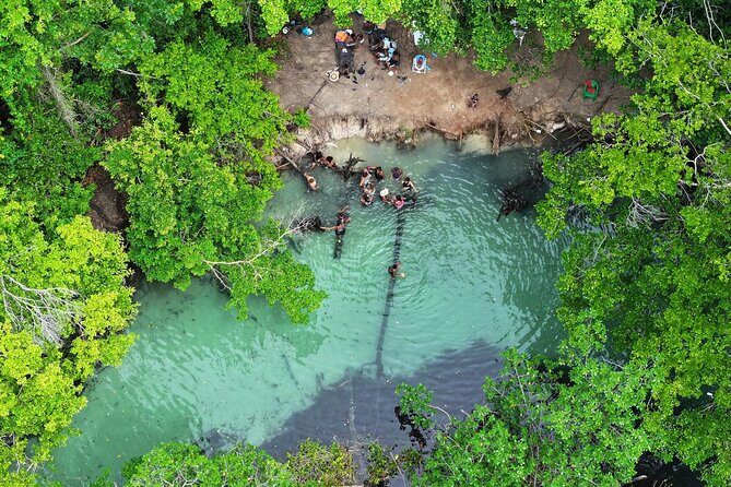 Samana Half Day Countryside Adventure - A Deep Dive Into the Samana Half Day Countryside Adventure